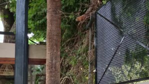 Mesas y sillas de madera al aire libre, un letrero que dice Rio Tigre Hotel y una malla de protección.