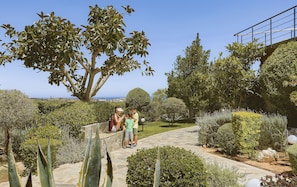 A garden with a paved walkway, various plants, and a large tree.