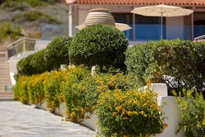 A row of neatly trimmed bushes with yellow flowers, a white wall, and a tiled pathway leading to a building with a red-tiled roof and umbrellas. - Cozy Pool Front Apartment With sea View Helios RU (Malevizi)