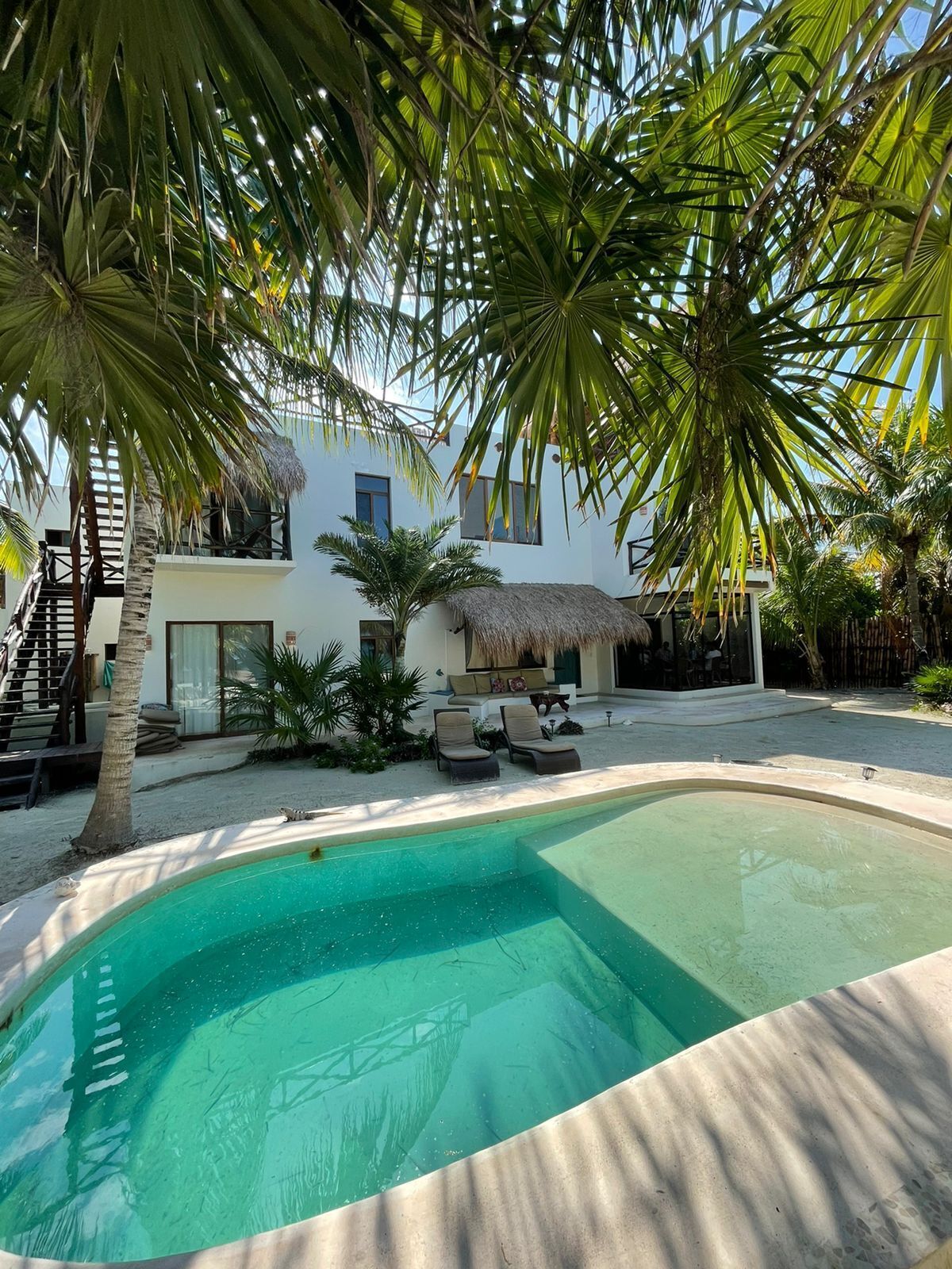 Una piscina con sillones de descanso, palmeras y un edificio con techo de paja.