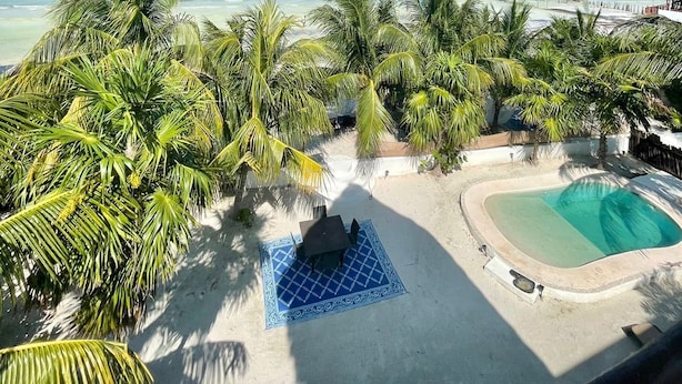 Vista de la playa con piscina, palmeras y una estructura de techo de paja.
