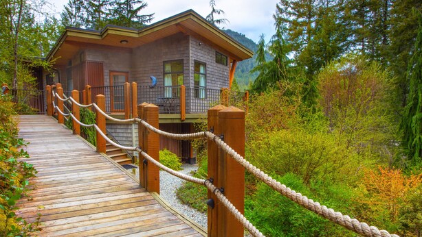 A wooden bridge leading to a cabin with a balcony, surrounded by lush greenery. - The Perch at Moon Dance (Madeira Park)