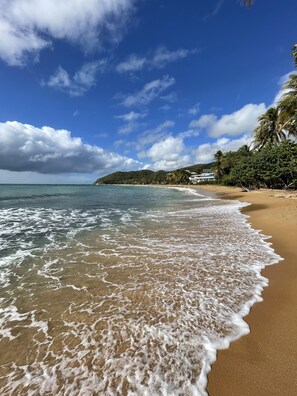 Une plage avec une eau d’un bleu limpide, des vagues et une rive sablonneuse. On y voit des palmiers et un bâtiment en arrière-plan.