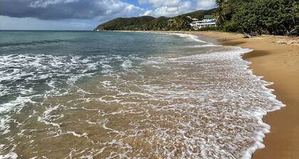 Couples Paradise - Villa BosqueMar, El Cocal Beach