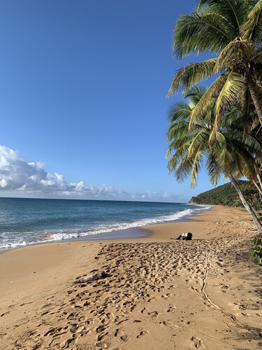 Couples Paradise - Villa BosqueMar, El Cocal Beach
