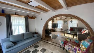 Smart TV, fireplace, books, stereo