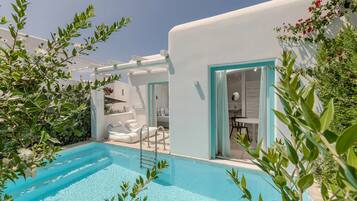 Junior-Suite, 1 Queen-Bett und Schlafsofa, eigener Pool | Eigener Pool