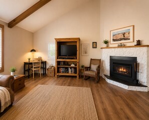 Smart TV, fireplace, DVD player, books