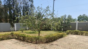 Ein gepflasterter Außenbereich mit einem kleinen Baum und ordentlich geschnittenen Büschen.