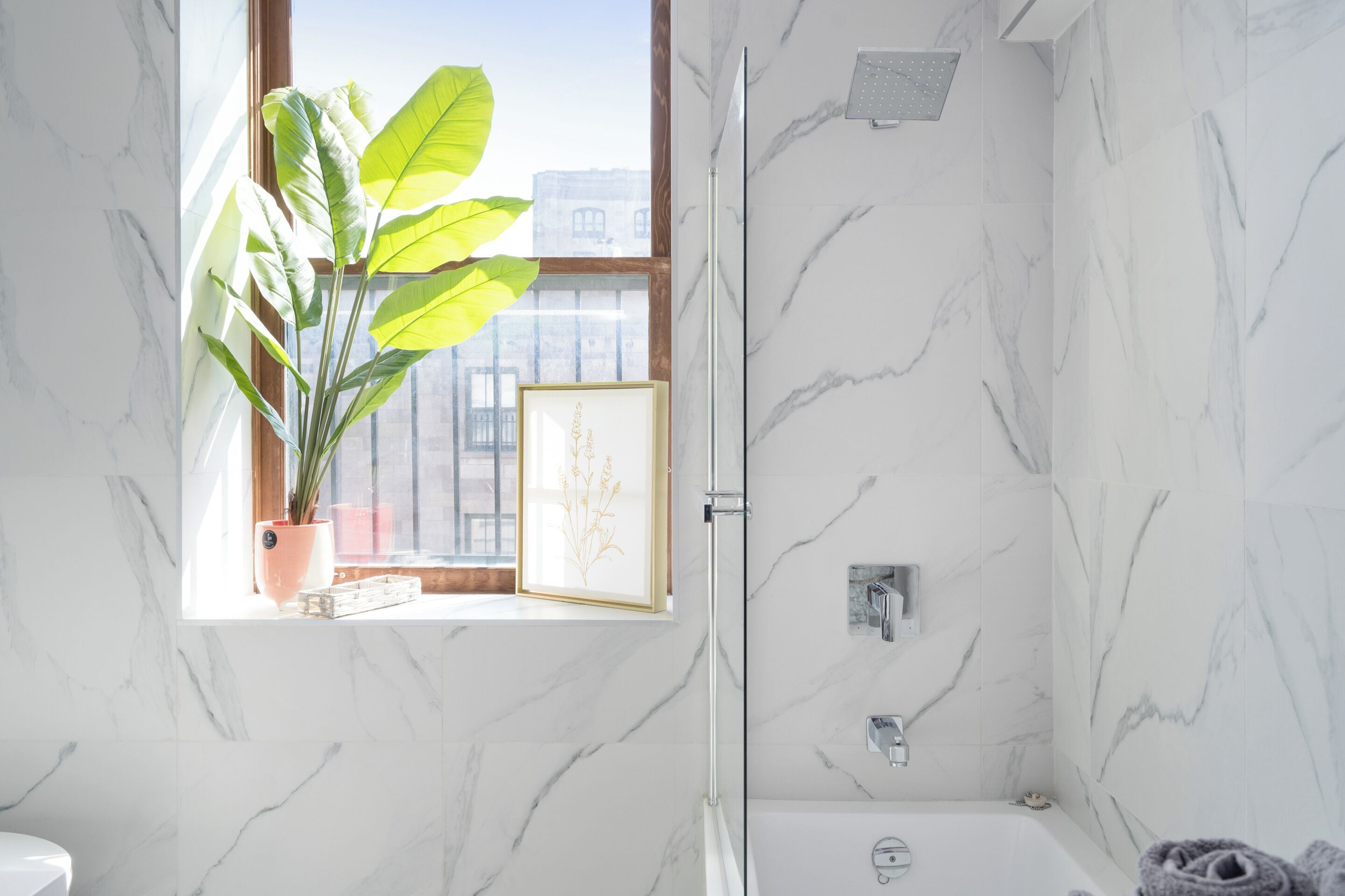 A bathroom with a shower, a potted plant, and a framed picture on the window sill.