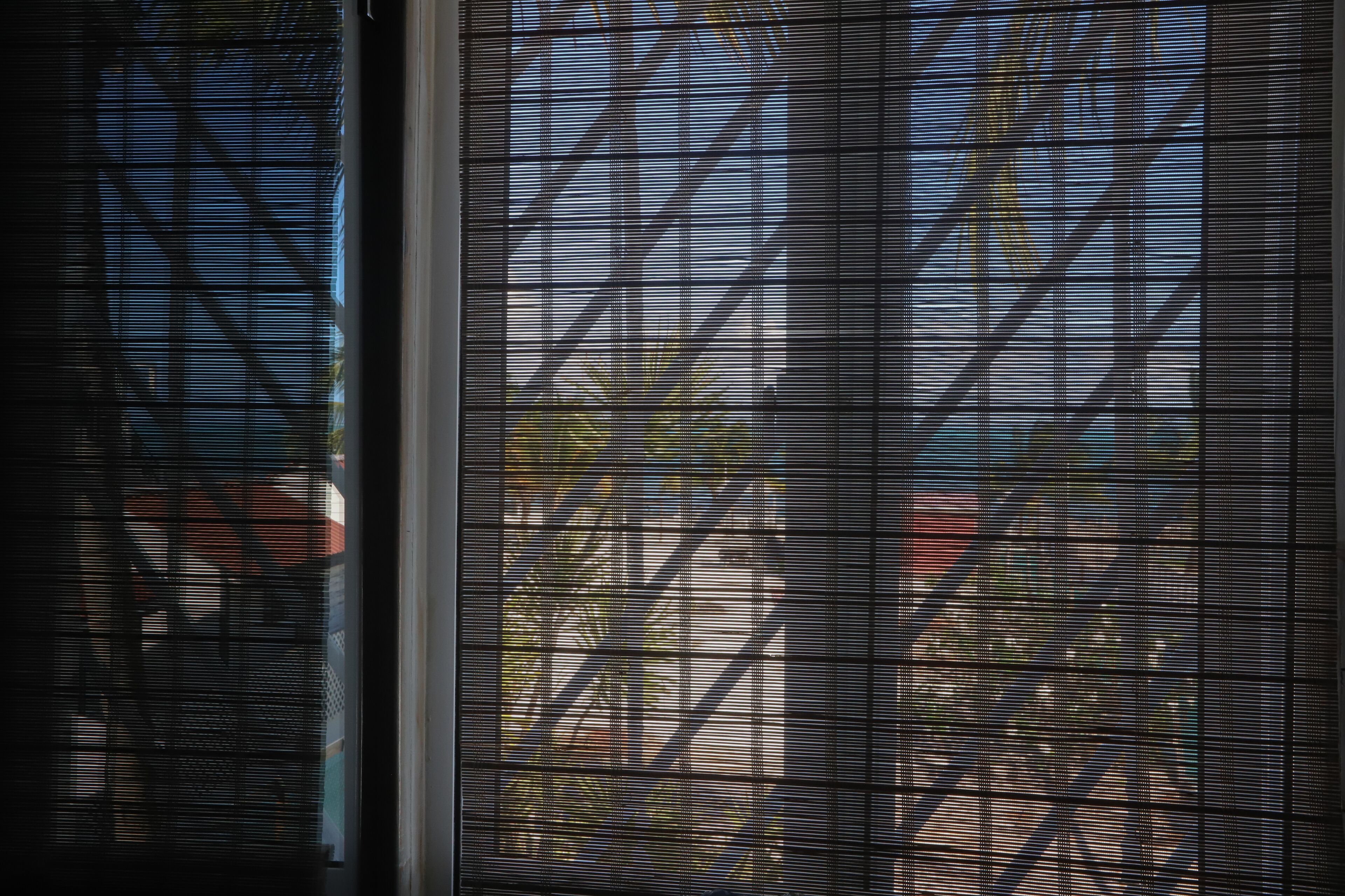 treetops suite, junior suite, sea view | bathroom | shower, rainfall showerhead, designer toiletries, hair dryer