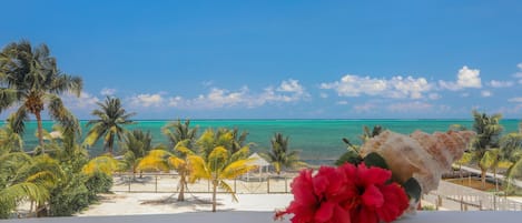 Sunrise Suite, Superior Suite, Sea View | Quang cảnh nhìn từ nơi lưu trú