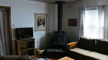 Smart TV, fireplace, books, printers