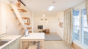 Basic Room, 1 Bedroom (A105)