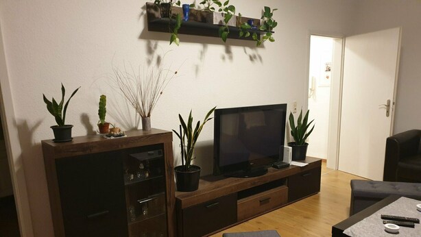 Ein Wohnzimmer mit einem Holzschrank, einem Fernseher und zwei Zimmerpflanzen.