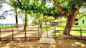 Overnatningsstedets område