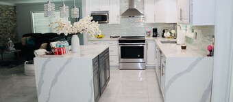 Modern Heater pool house tampa. Close to the park and zoo