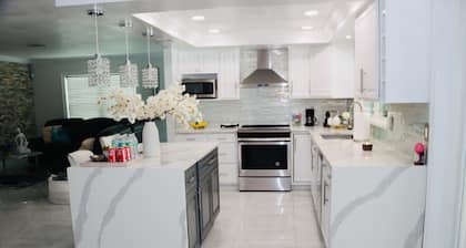 Modern Heater pool house tampa. Close to the park and zoo