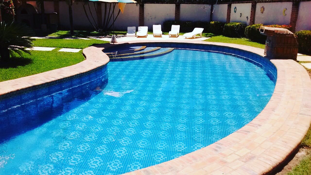Une piscine incurvée dont le fond est recouvert de carreaux formant un motif, entourée d’une bordure en briques et d’une pelouse agrémentée de chaises longues.