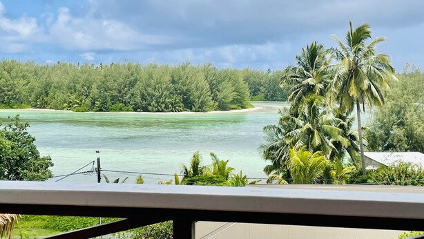 Une plage tropicale avec une eau turquoise et limpide, une végétation luxuriante et un palmier.