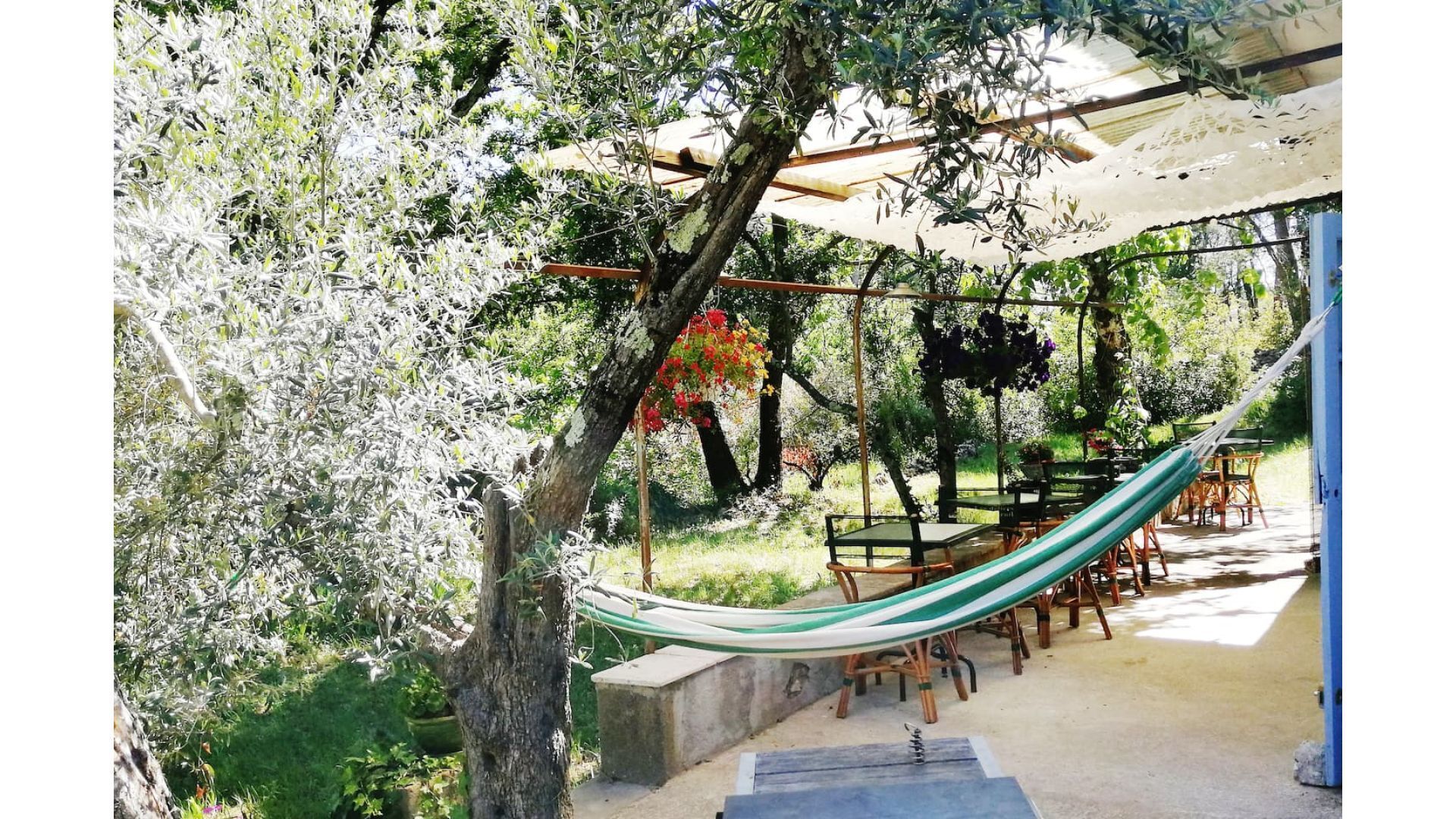 Restauration en plein air