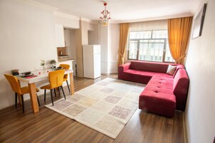 32-英寸液晶电视（配备卫星频道）、电视、打印机