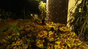 外观细节