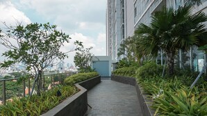 A pathway flanked by planters with greenery, leading to a building with a glass facade.