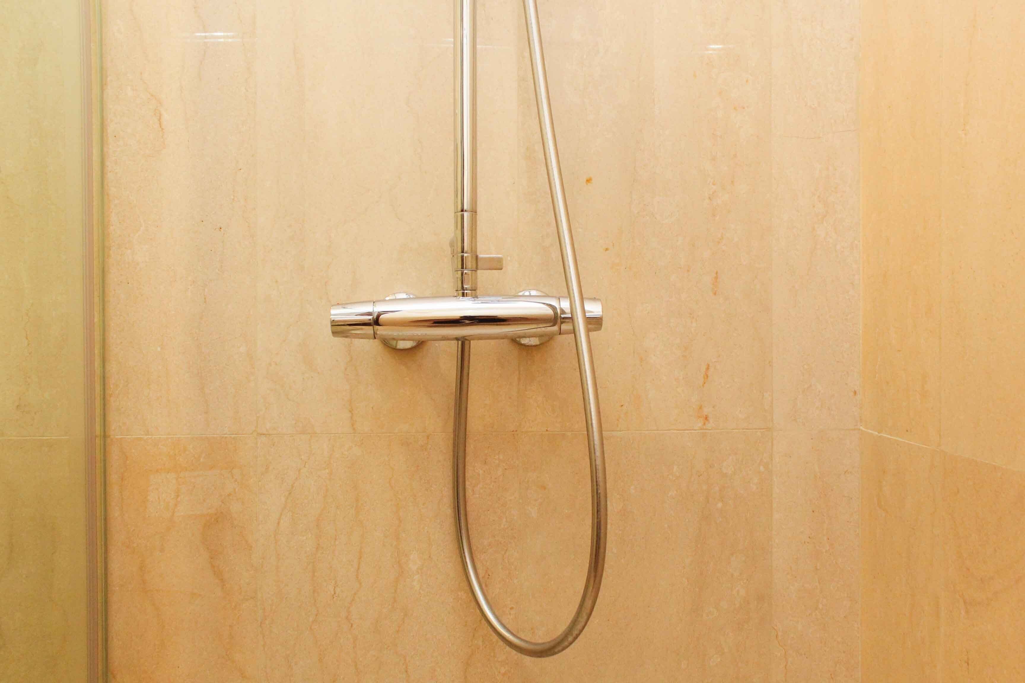Room | Bathroom | Shower, free toiletries, towels