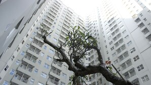 A high-rise building with multiple balconies and windows.