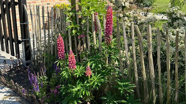 A brick house with a wooden fence, a hanging planter with green plants, and a variety of flowering plants in the garden.