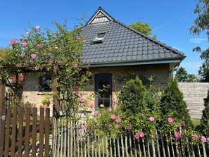 Une maison en briques avec un toit en tuiles, une clôture en bois et des rosiers roses en pleine floraison.