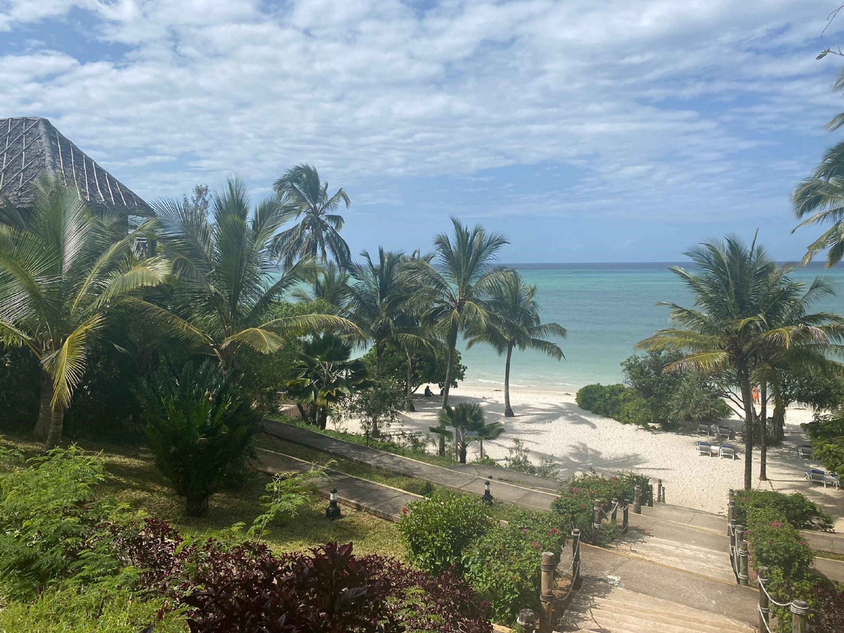 Una playa con palmeras y una escalera que baja hacia la orilla.