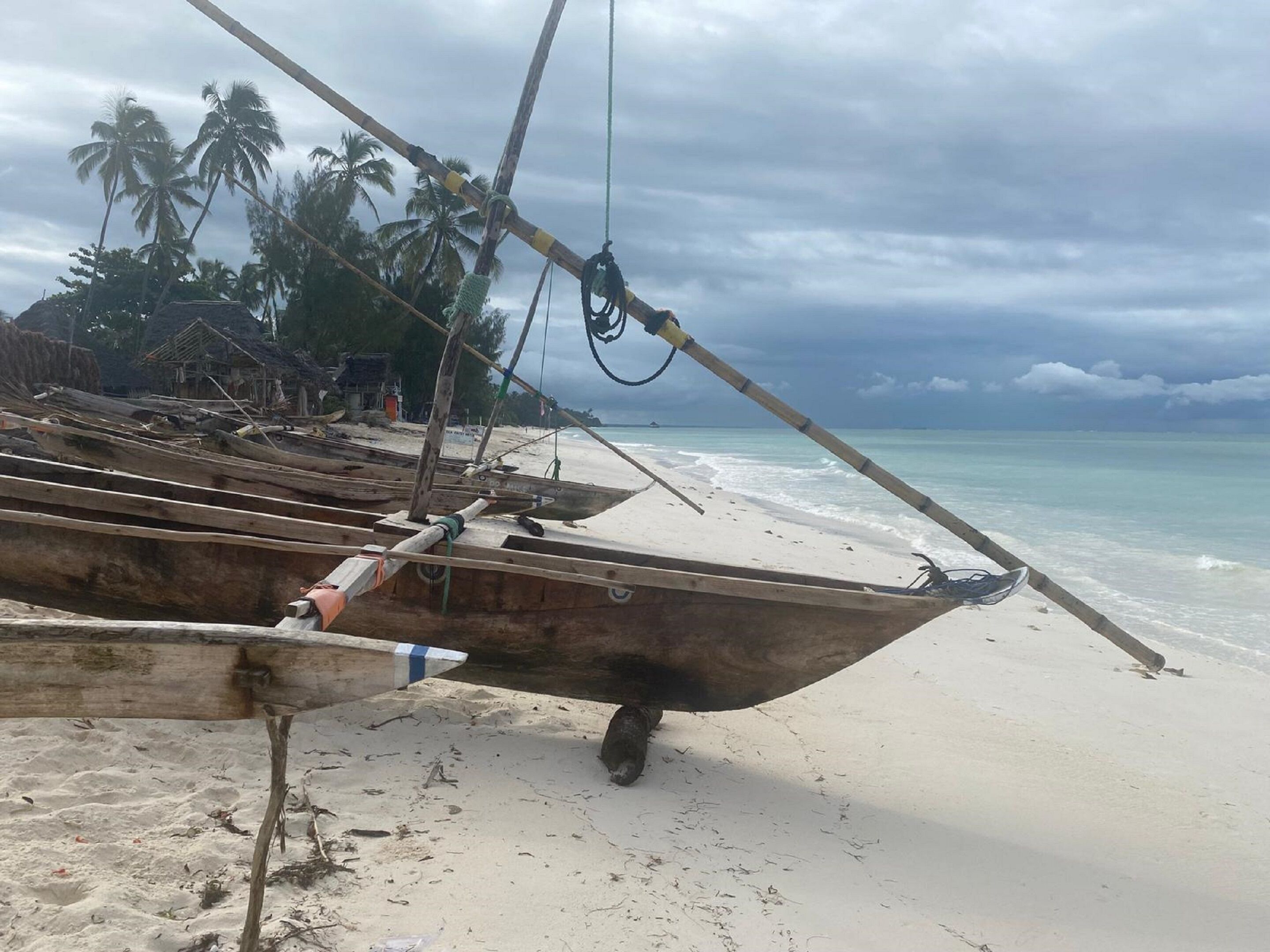 Une plage avec des bateaux en bois, des palmiers et une cabane en arrière-plan.