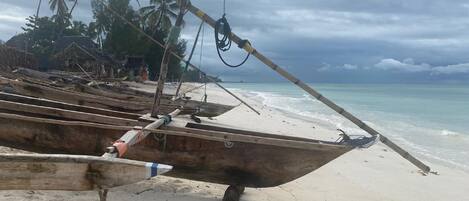 Une plage avec des bateaux en bois, des palmiers et une cabane en arrière-plan.