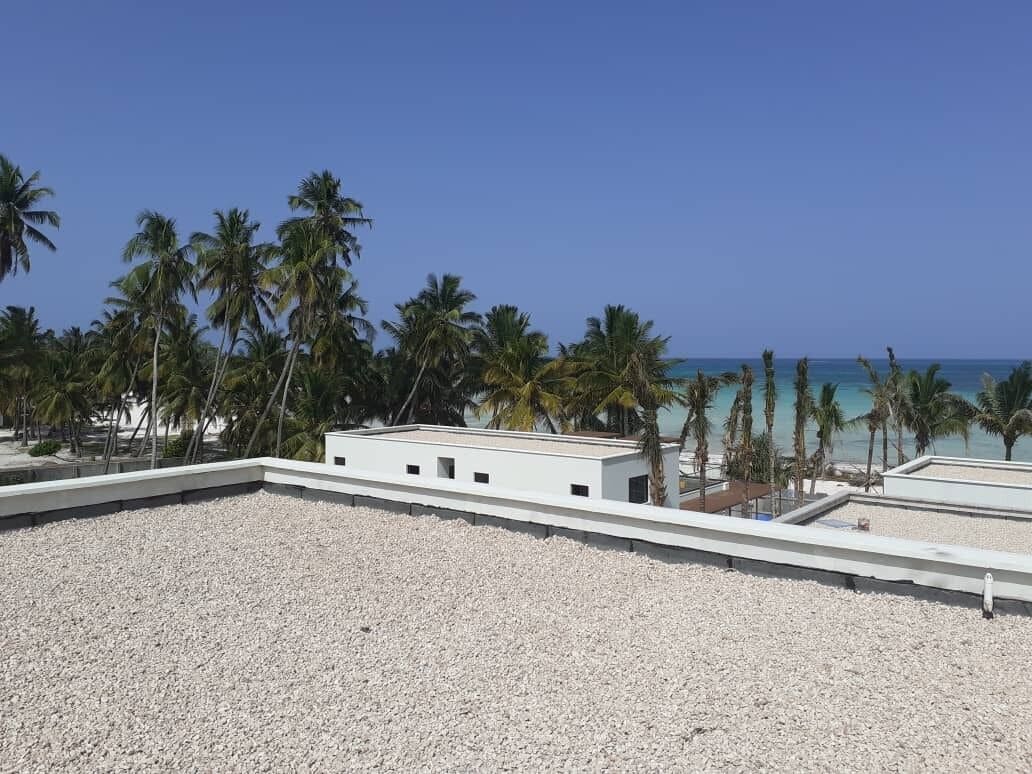 Una terrazza sul tetto con vista sull'oceano e palme.