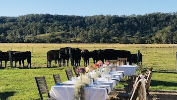 Outdoor banquet area