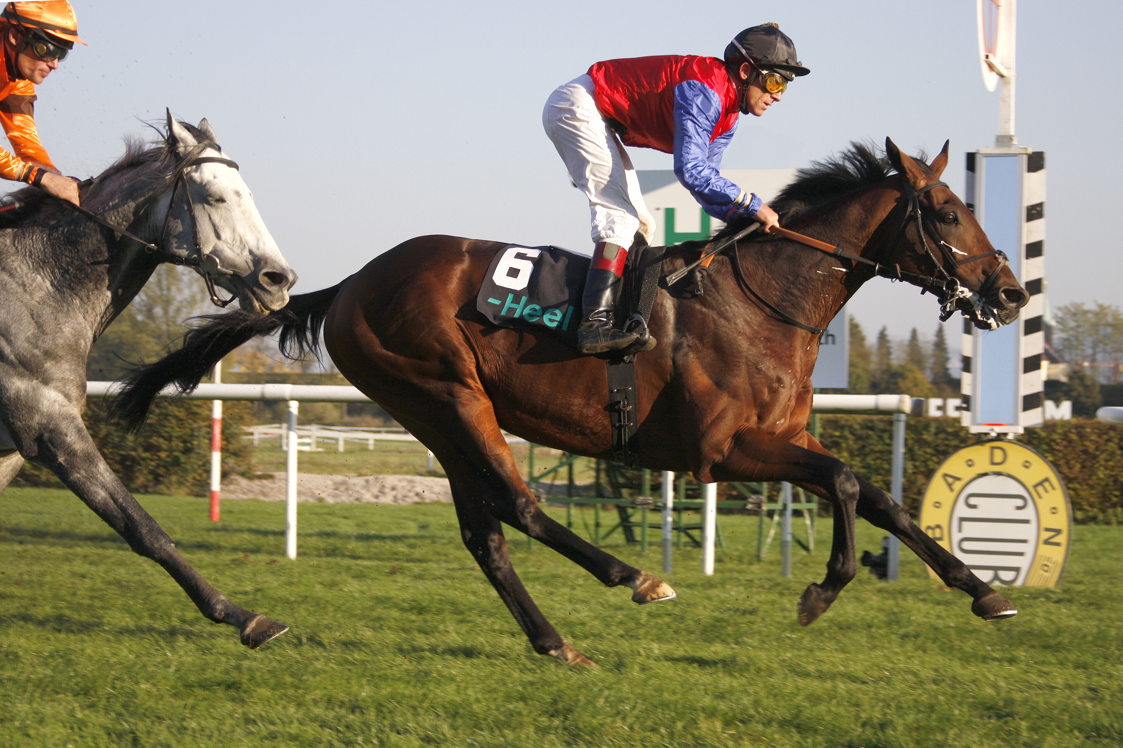 Una carrera de caballos con jinetes.