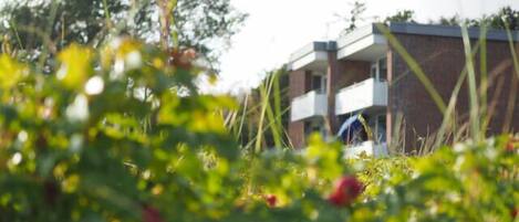 المنطقة المحيطة بالمنشأة