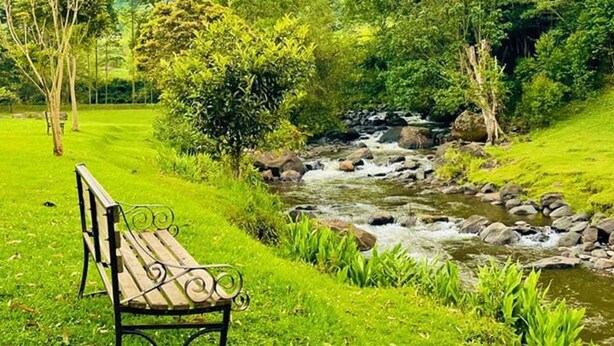 A bench in a park with a stream and trees in the background. - Mathioya River Lodge (Gacharageini)