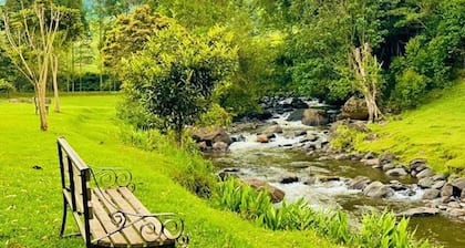Mathioya River Lodge