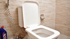 Des toilettes équipées d’un siège-bidet et d’un système de pulvérisation mural.