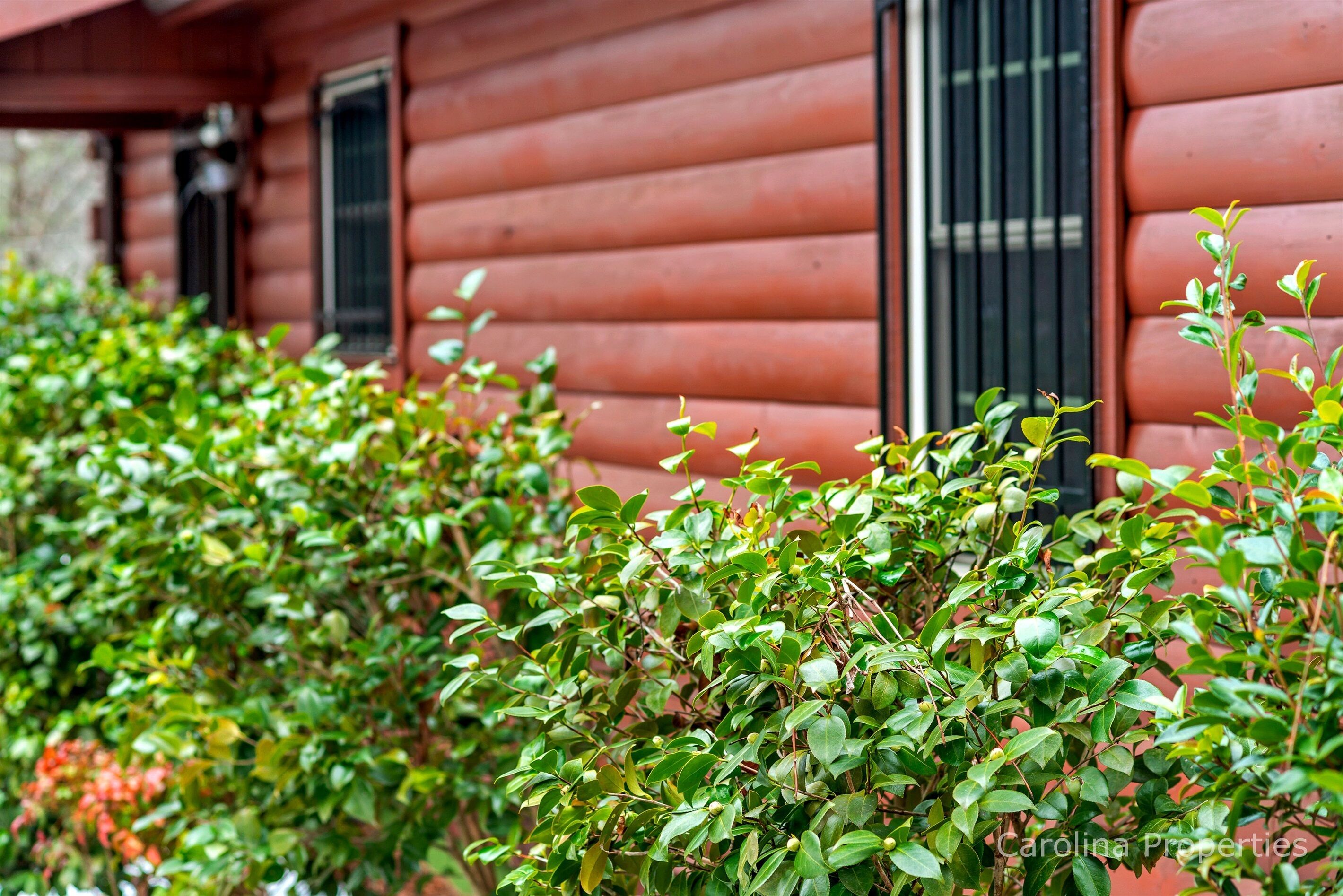 Une cabane en bois avec une fenêtre et une porte.