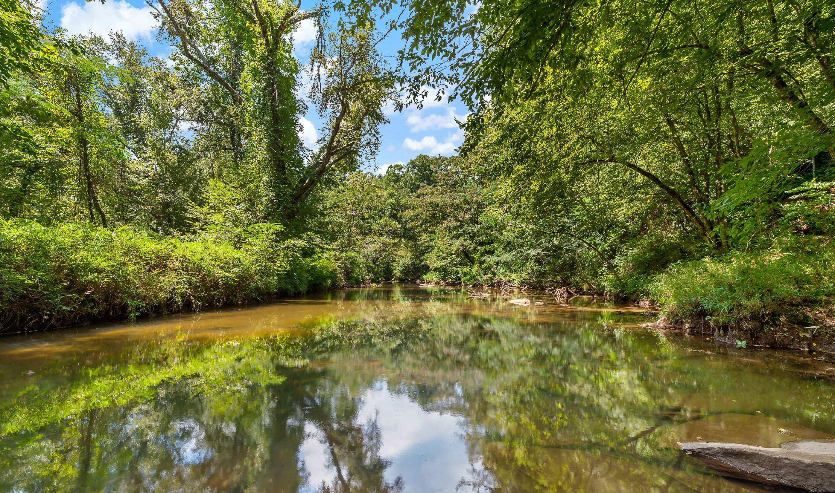 Une rivière paisible, bordée d’une végétation luxuriante et d’arbres.