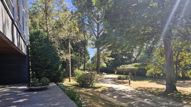Un sendero pavimentado que atraviesa un jardín ajardinado con árboles y arbustos.