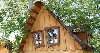 Magic cabin