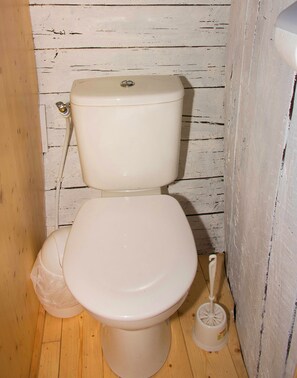 Shower, towels, soap, toilet paper