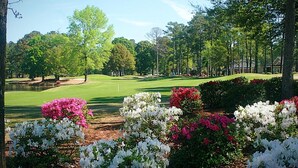 A golf course with manicured lawns, trees, and flowering bushes.