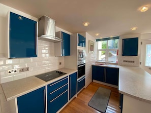 Frigorífico, microondas, horno y placa de cocina