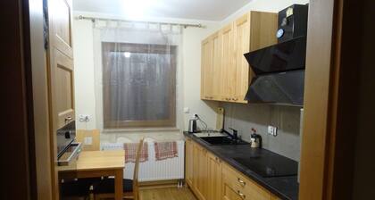 located in the very center, well equipped, jakuzi and garage for exclusive use